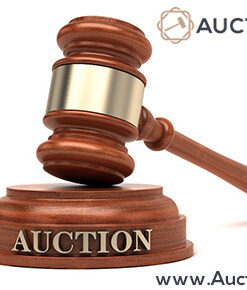 ad-auctionubid.com